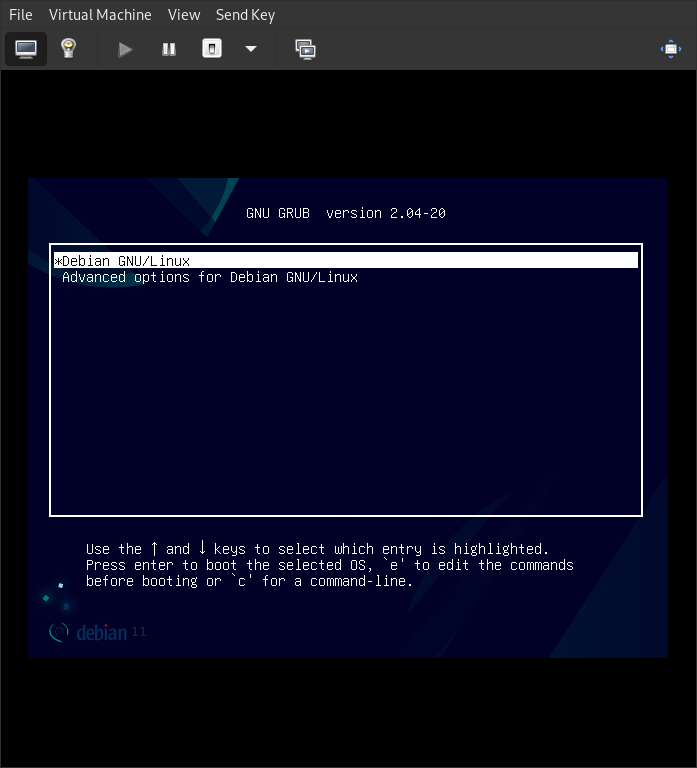 Debian 11 "Bullseye" running inside a virtual machine.